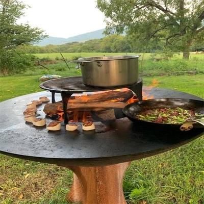ODM d'OEM en acier de gril de barbecue de camping de jardin de cuvette de feu d'ISO9001 Corten