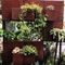 Pots en acier pré superficiels par les agents d'Art Rustic Wall Hanging Flower de mur de Corten